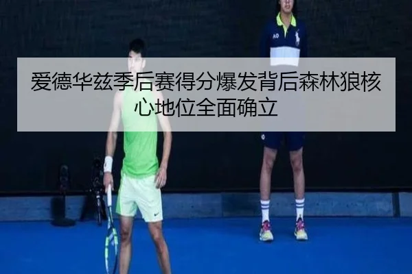 爱德华兹季后赛得分爆发背后森林狼核心地位全面确立